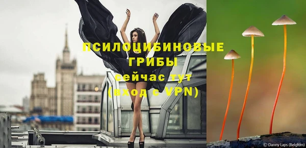мяу мяу кристалл Бородино