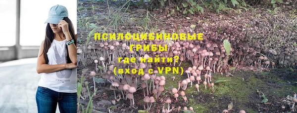PSILOCYBIN Бугульма