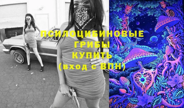прущий лед Бронницы