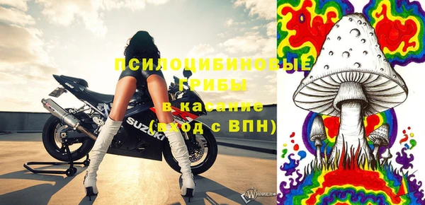 PSILOCYBIN Бугульма