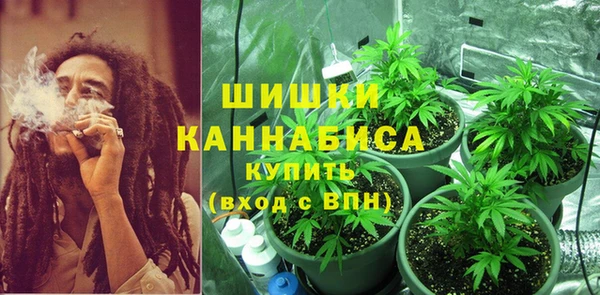 прущий лед Бронницы