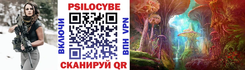 где купить   Каменск-Уральский  Псилоцибиновые грибы Magic Shrooms 